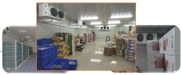 کمپرسور پیستونی بیتزر 2 اسب بخار مدل 2FES-2Y-40P